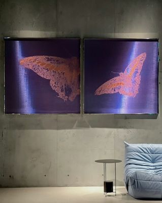 Độ bền cao Woven Wire Mesh Mural cho vải 3d Mesh