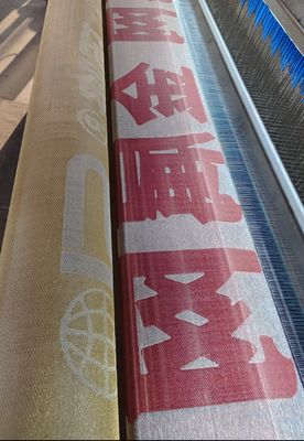 Độ bền cao Woven Wire Mesh Mural cho vải 3d Mesh